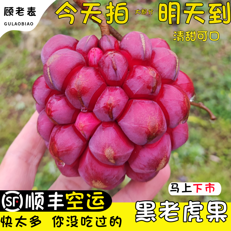 顾老表云南黑老虎果清甜顺丰空运