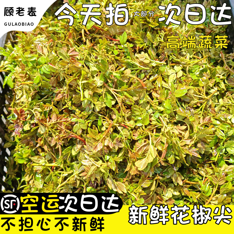 顺丰空运次日达新鲜花椒芽野菜