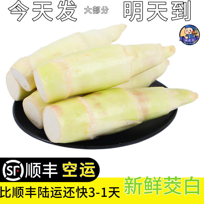 空运次日达顾老表茭白新鲜茭瓜