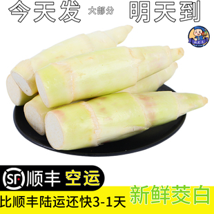 顺丰空运云南茭白新鲜茭笋现拔当季时蔬鲜口甜嫩时令次日达茭瓜