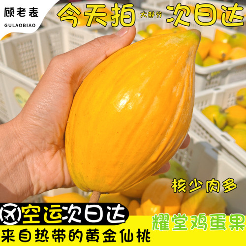 空运西双版纳蛋黄果特大果当季