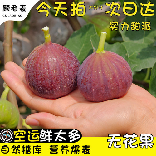 空运次日达当季新鲜红皮无花果