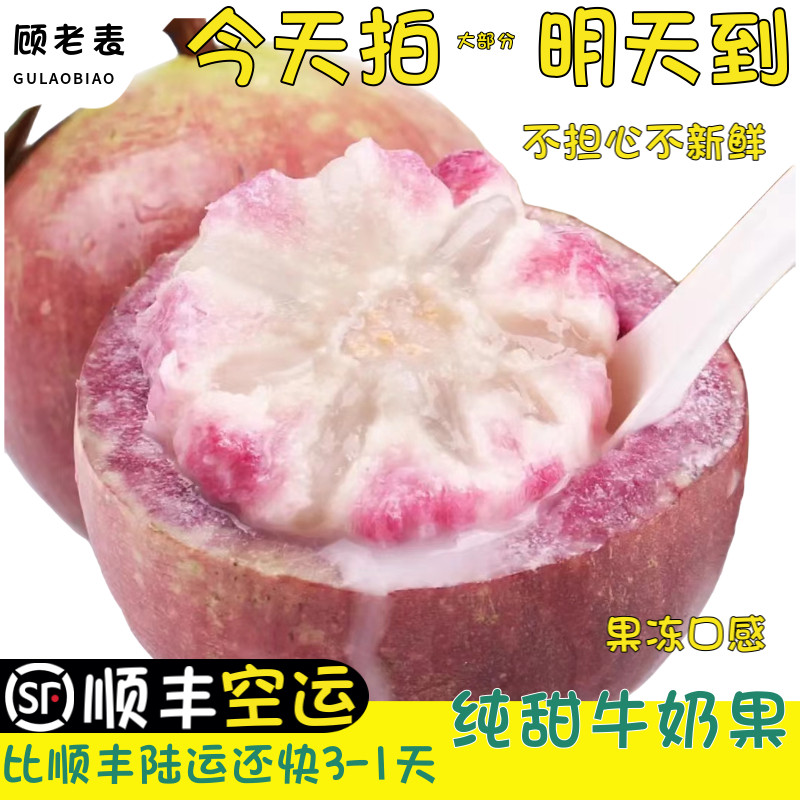 顺丰空运牛奶果紫色紫皮黄晶果