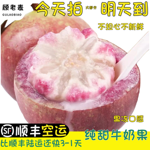 顺丰空运次日达牛奶果新鲜水果紫色牛奶果孕妇果稀奇古怪紫黄晶果