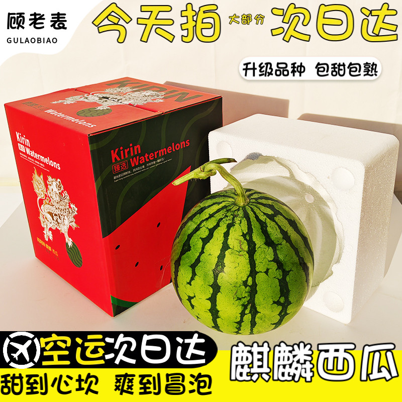 空运云南麒麟西瓜美都高山现摘沙瓤冰糖次日达西瓜当季新鲜麒麟瓜,水产肉类/新鲜蔬果/熟食,西瓜,淘宝优惠券,粉丝福利购,淘宝优惠卷