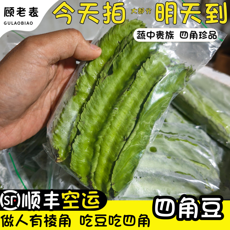 顺丰空运次日达新鲜四角豆