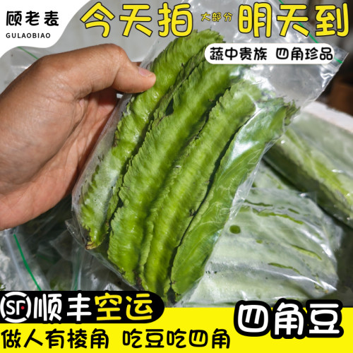 顺丰空运次日达新鲜四角豆