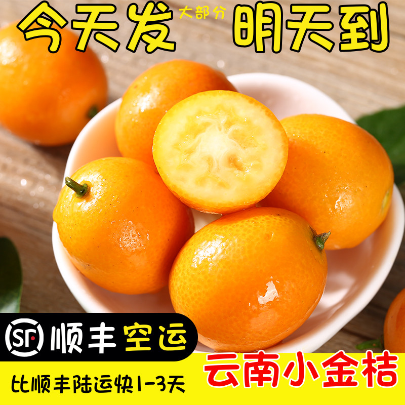 空运次日达云南金桔酸甜金钱橘