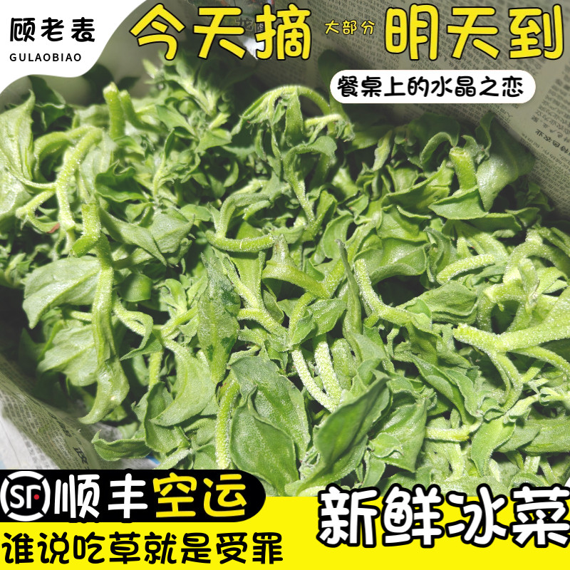 顺丰空运次日达新鲜冰菜