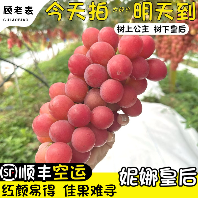 空运次日达妮娜皇后葡萄
