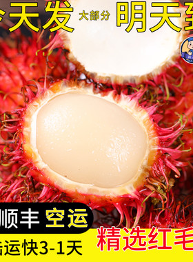 空运次日达红毛丹荔枝现摘顺丰