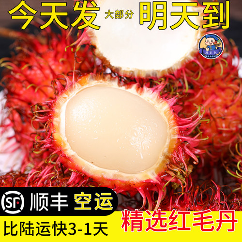 空运次日达红毛丹荔枝现摘顺丰