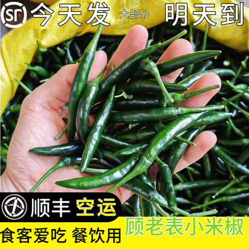 顺丰空运次日达青绿皮小米辣