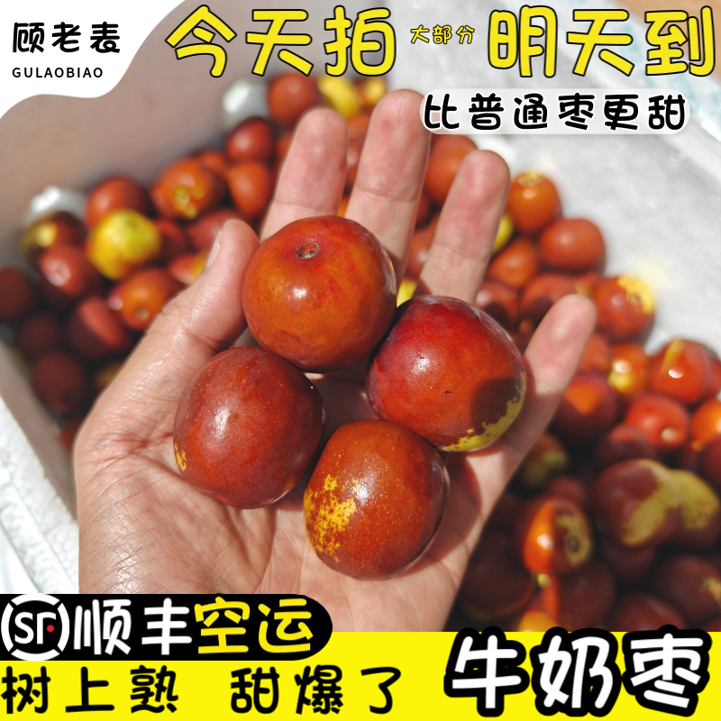 顾老表新鲜牛奶枣空运到家