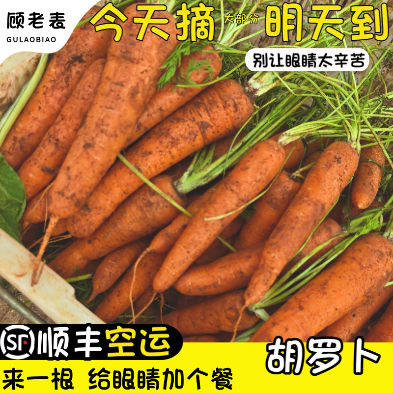 空运次日达高原现挖鲜胡萝卜