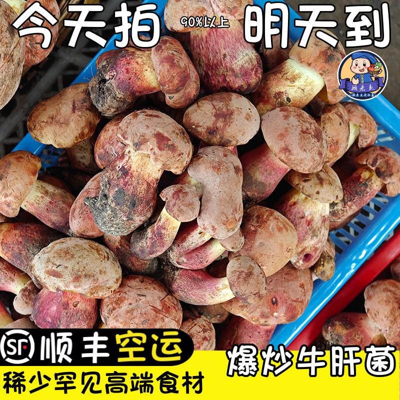 顾老表红葱见手青非人工种植