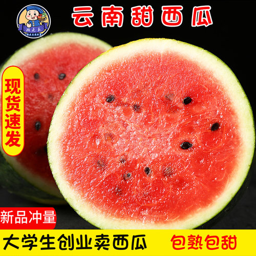 顾老表黑美人西瓜鲜甜爆汁