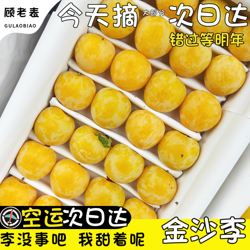 顺丰空运次日达金沙李李恐李子冰糖李蜂糖果新鲜黄金杏李3斤
