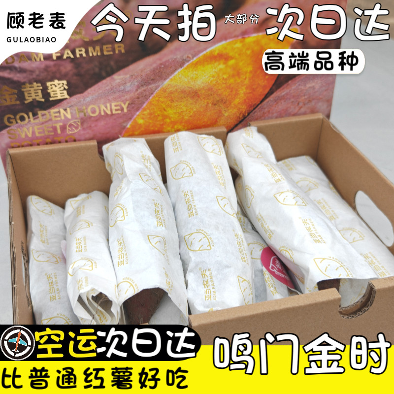 空运次日达鸣门金时红薯榴莲蜜薯