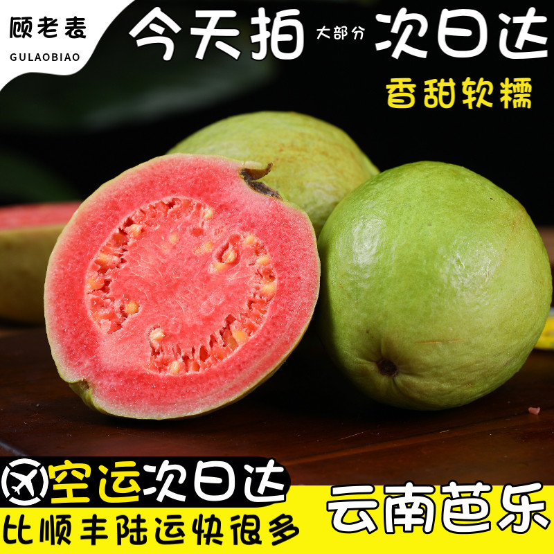 顺丰空运云南软芭乐番石榴当季新鲜水果潘蕃胭脂红色巴乐软糯5斤