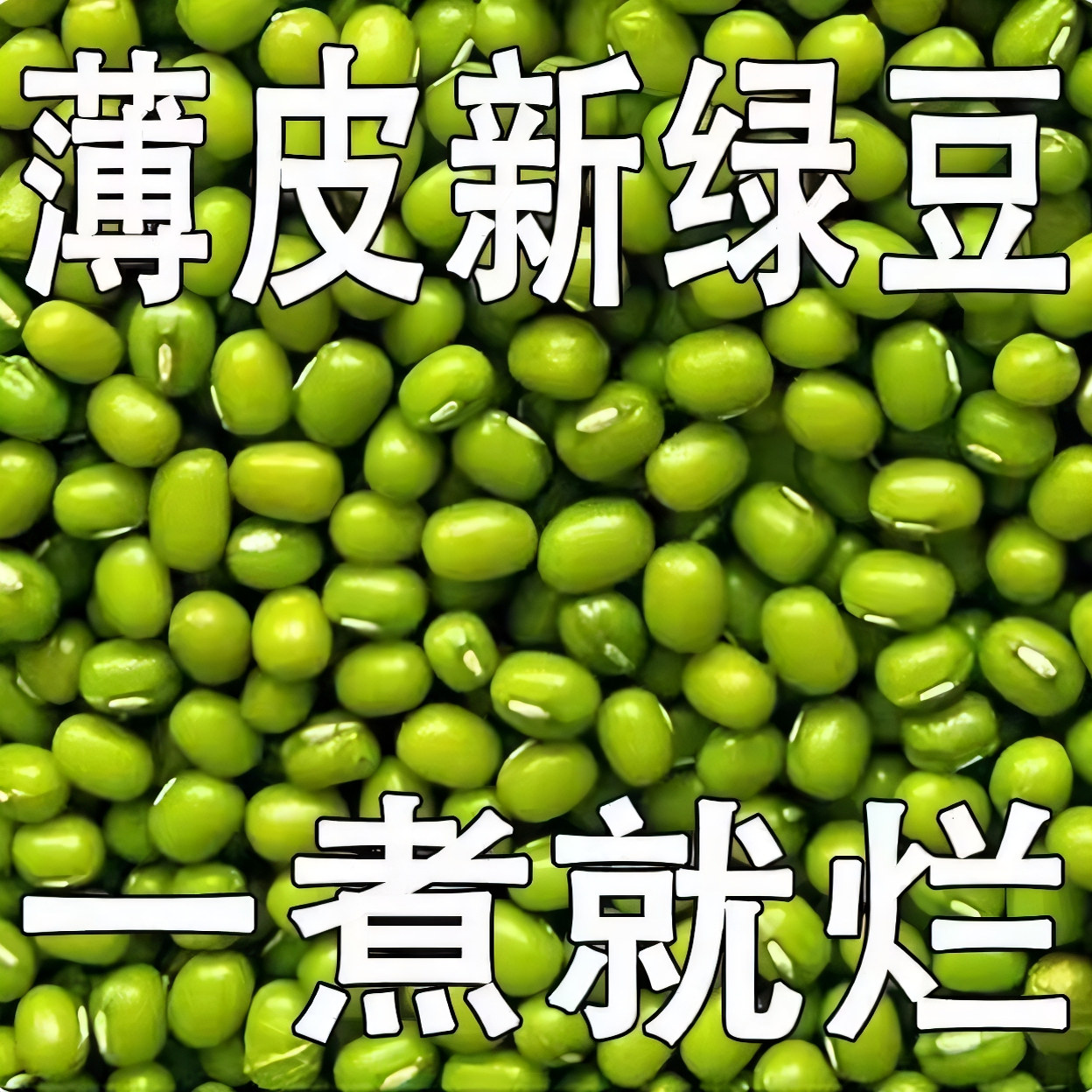 绿豆5斤东北农家新绿豆100g绿豆粥解暑绿豆汤笨绿豆发豆芽绿豆糕