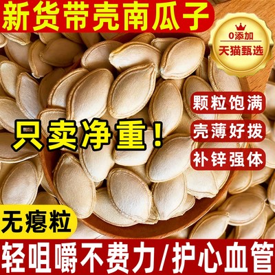 甄生南瓜子新货带壳生的南瓜籽