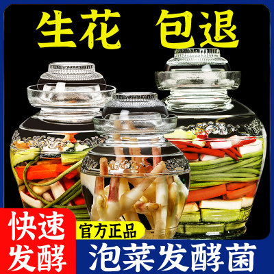 泡菜发酵菌正品粉乳酸菌泡菜母水粉四川泡菜东北老坛酸菜不生花剂