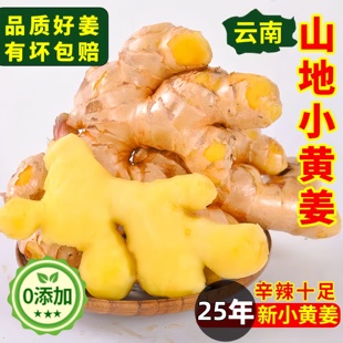 正宗云南小黄姜新鲜生姜嫩姜2025新货有机老姜祛湿驱寒官方旗舰店