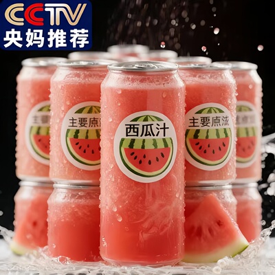 越南进口100%NFC西瓜汁无添加