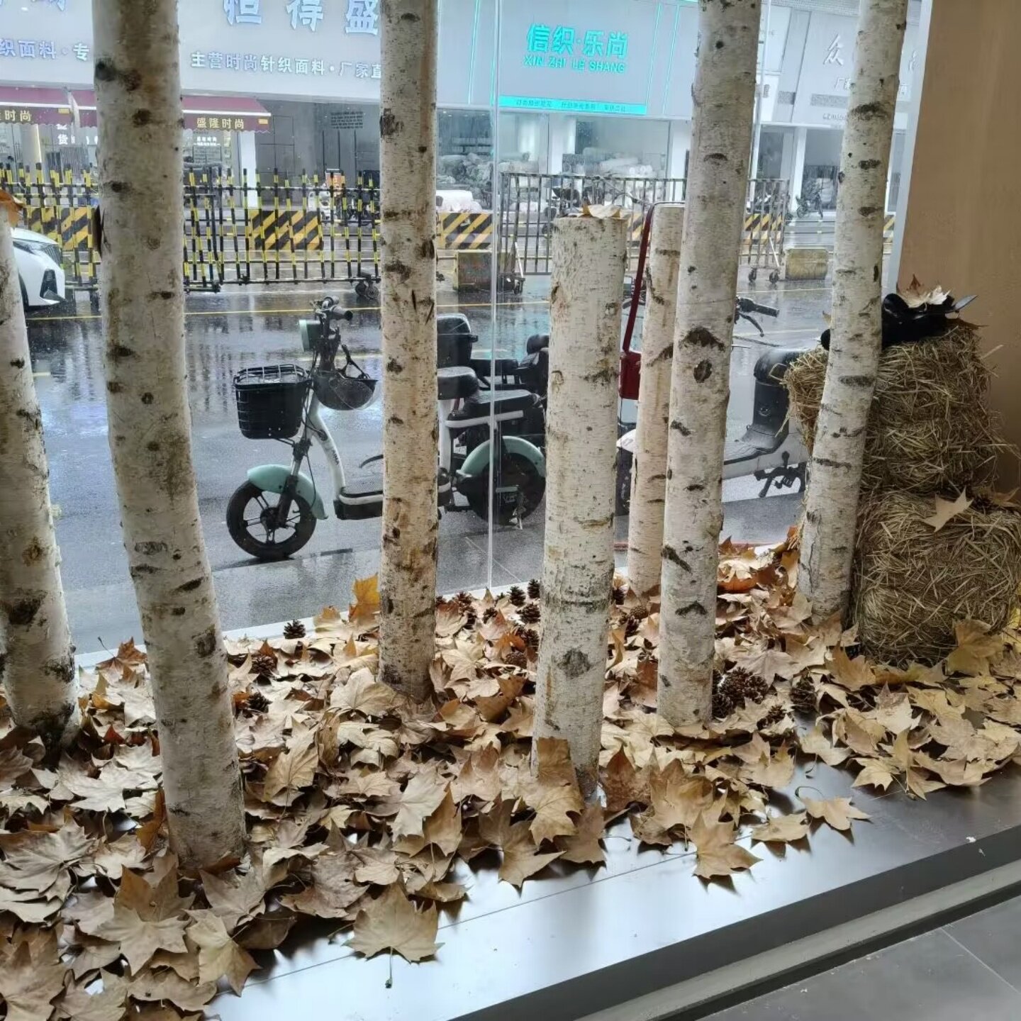 秋冬季女服装店橱窗装饰白桦树杆干树枝侘寂风梧桐枯叶松树皮造景