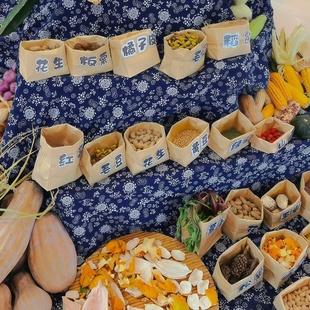 幼儿园秋季晒秋美工区自然植物角环创牛皮纸袋种植区种子收纳袋