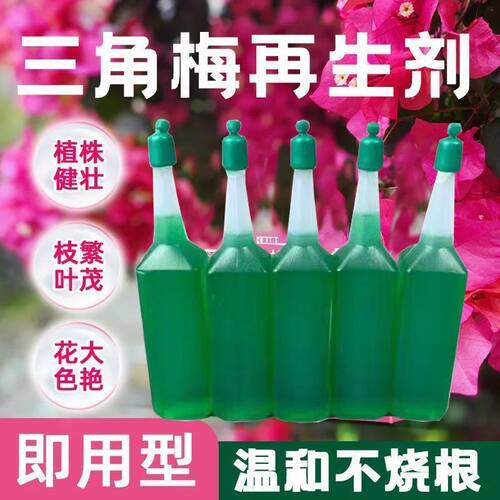 营养液水培植物营养液通用养花小包独立包装丰富营养巴西木营养液