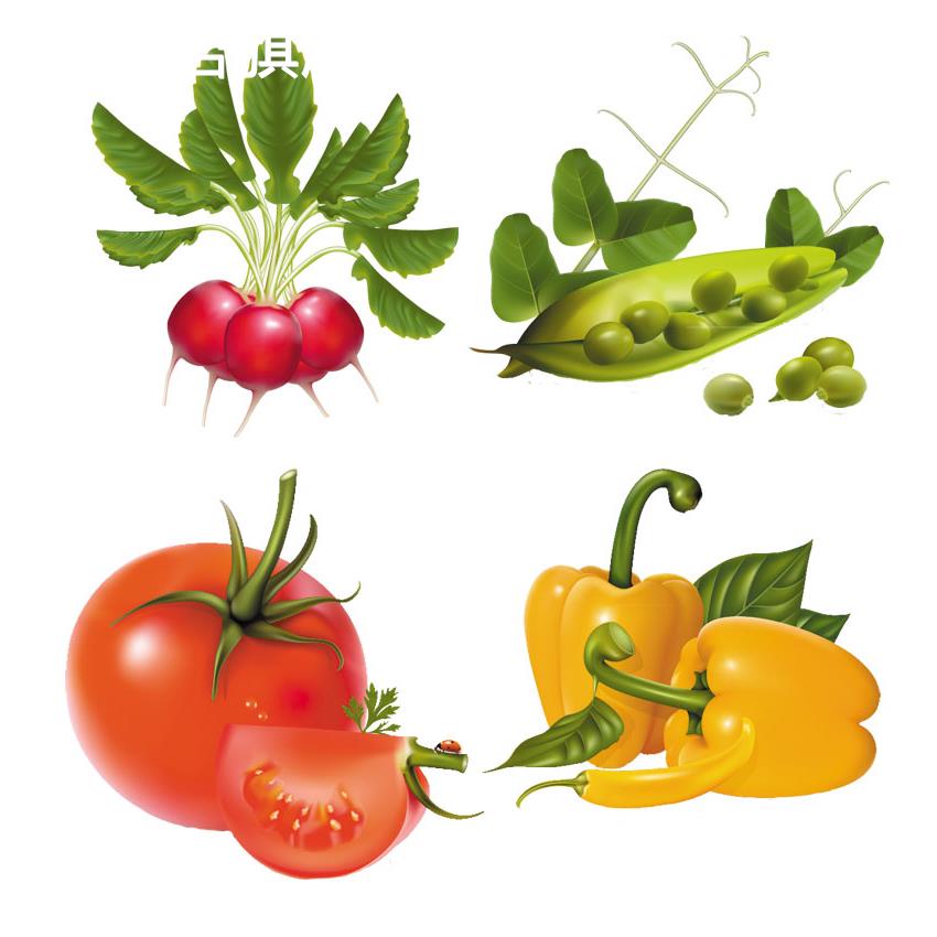 水果蔬菜厨房墙贴画橱柜门贴画防水瓷砖玻璃贴花餐厅冰箱贴纸装饰