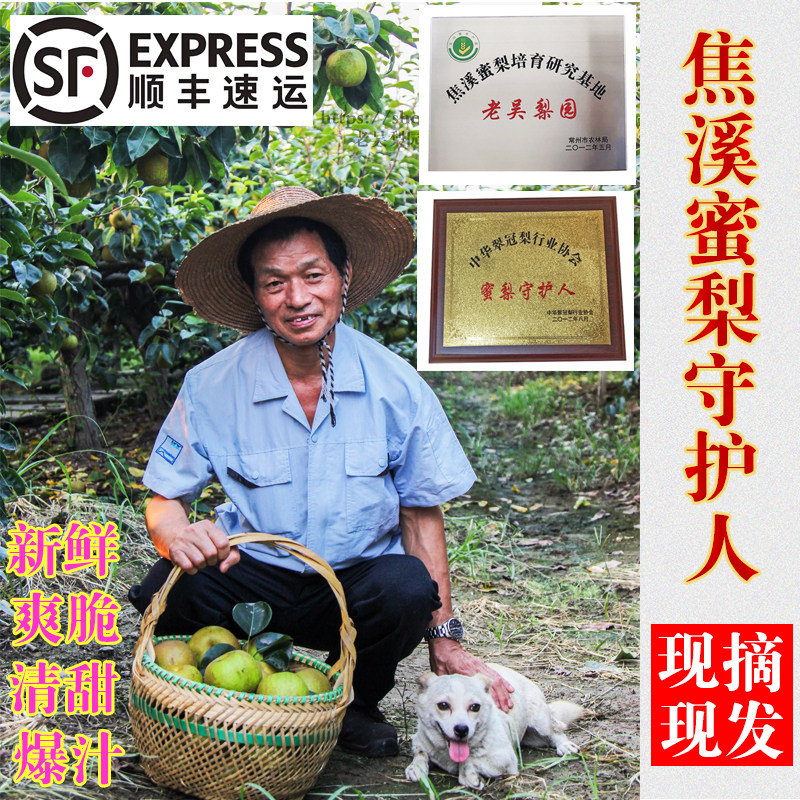 【售空勿拍】【老吴梨园】正宗常州焦溪蜜梨翠冠梨82梨特产新鲜梨