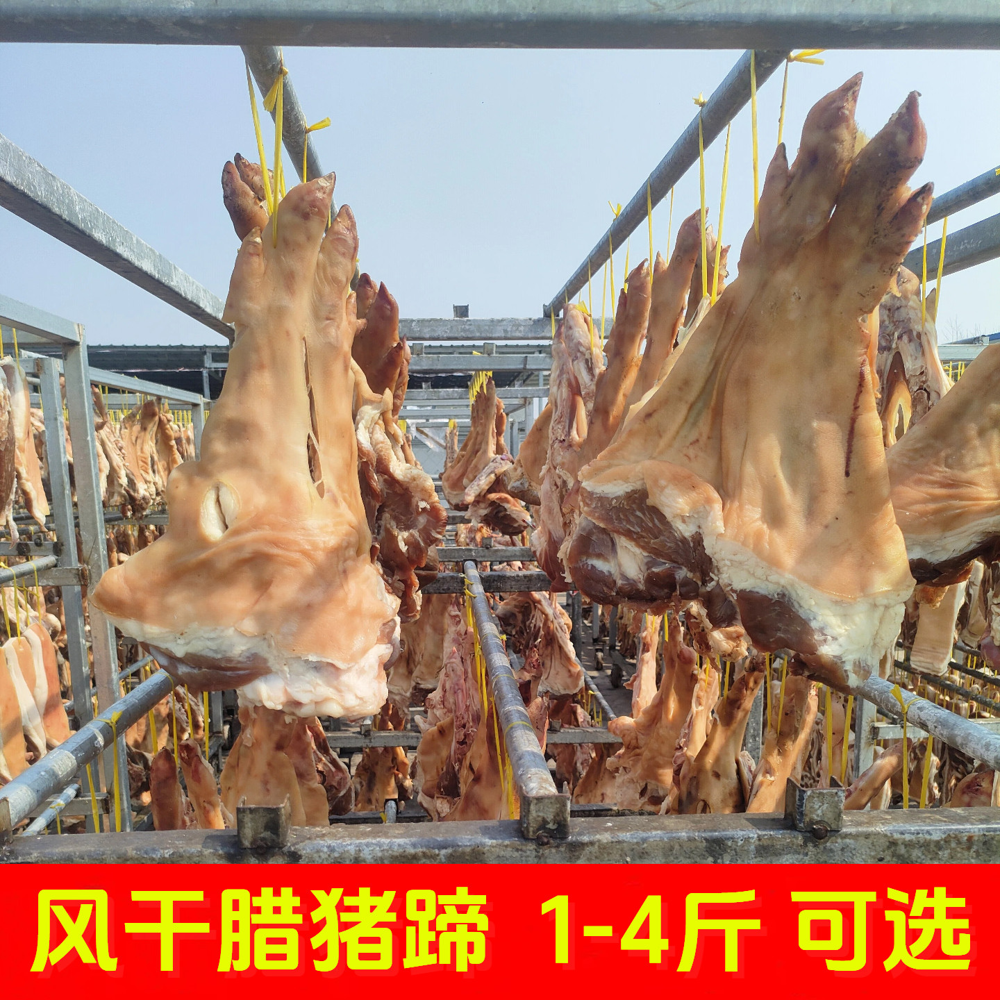 湖北特产农家自晒风干咸猪脚前后腿混发咸肉腊猪蹄整只非烟熏包邮