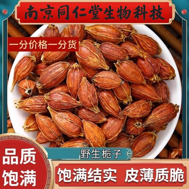 南京同仁堂野生栀子云南中药材