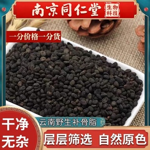 南京同仁堂补骨脂500g新货野生补骨脂粉破故纸补骨脂黑固脂中药材
