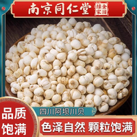 南京同仁堂野生川貝正品浙貝母純正四川阿壩產(chǎn)地直銷(xiāo)全懷中抱月