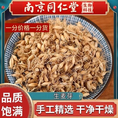 南京同仁堂生物科技生麦芽生麦芽回奶大麦芽谷芽麦芽泡奶生麦芽