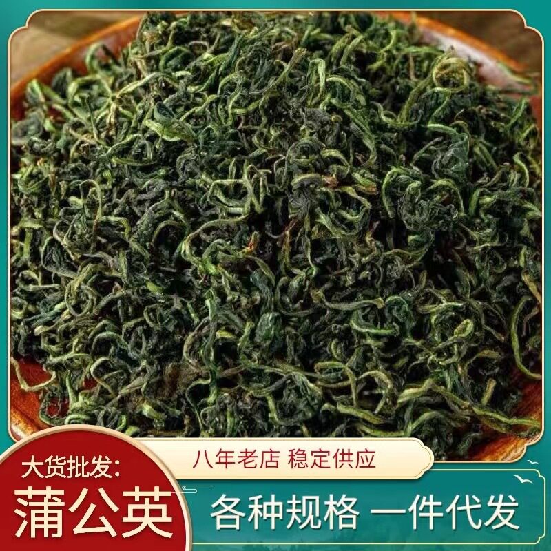 水洗蒲公英茶 蒲公英叶茶 散装大货500g量大优惠新货蒲公英茶