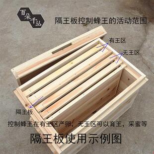 蜜蜂箱隔王板大隔板小隔养蜂专用工具育王箱养双王用交尾百朵千丛