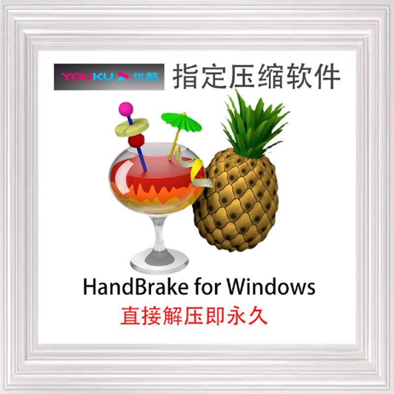 HandBrake 电脑 windows本地蓝光高清视频无损压缩软件格式转换器属于什么档次？