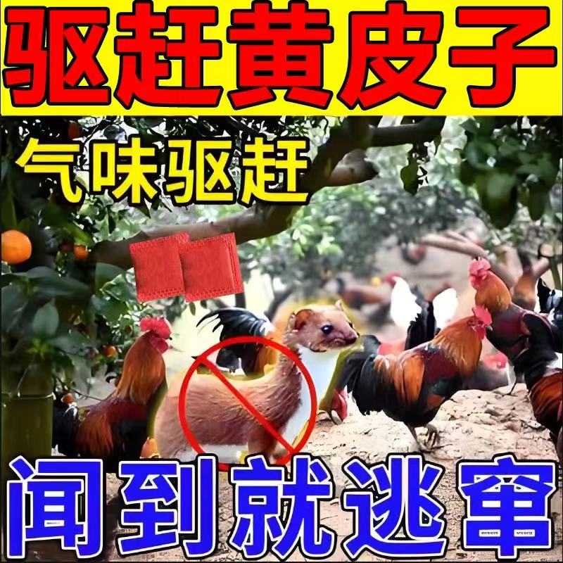驱黄鼠狼药粉室外鸡场强力驱赶黄鼠狼神器不伤畜驱黄鼠狼的专用药