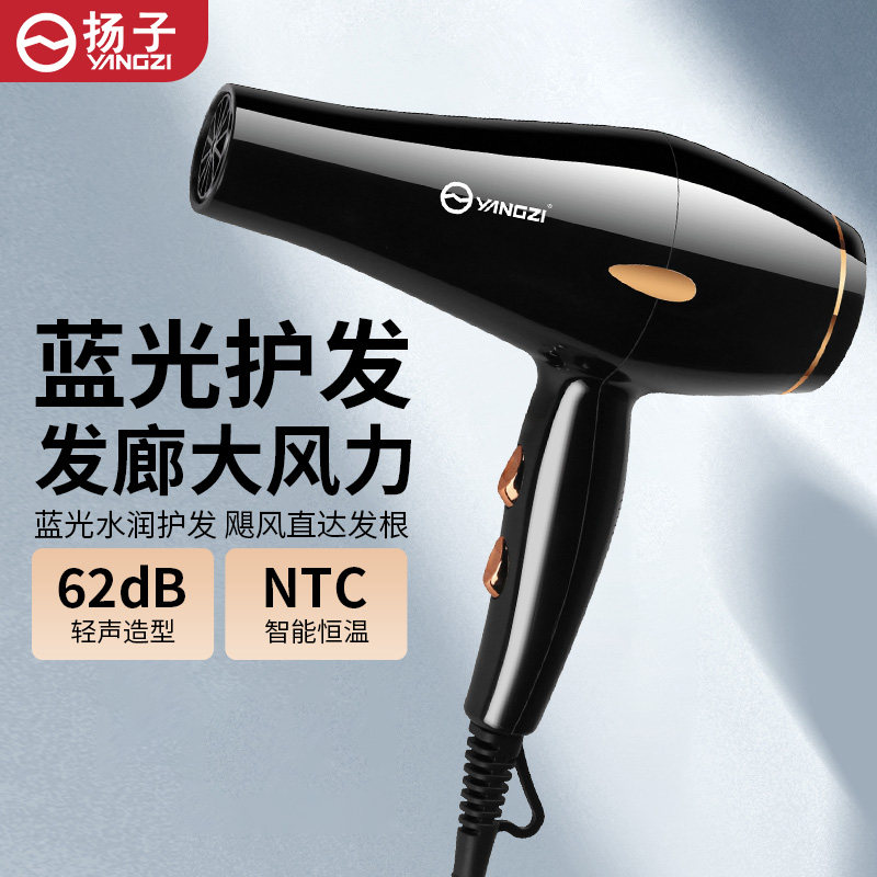 扬子高速吹风机蓝光水润护发NTC恒温电吹风低噪风大速干专业沙龙