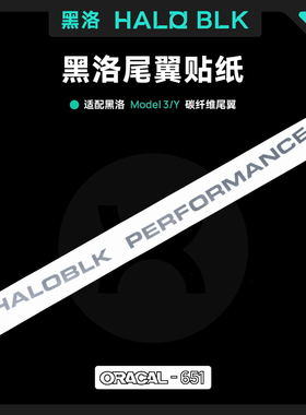 黑洛适用特斯拉尾翼Model Y/3高性能板干碳素纤维尾翼配件贴纸