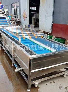 加SYI肉制品工解冻清洗洗机全鸡自动胸肉清设备商用猪头肉解冻清