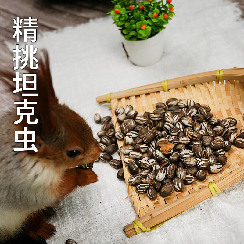 松鼠零食刺猬蜜袋鼯口粮仓鼠飞鼠睡鼠食物坦克虫高脂肪蛋白营新货