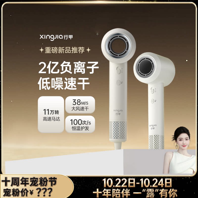 【十周年宠粉节】高速吹风机11万转 2亿负离子恒温 护发zb