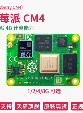 树莓派CM4扩展板Raspberry Pi Compute Module 4计算模块核心板