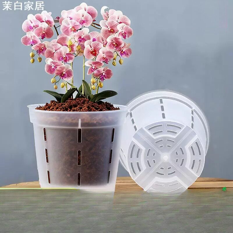 茉白家居蝴蝶兰专用花盆透明控根盆塑料透气镂空大号花盆 满稍